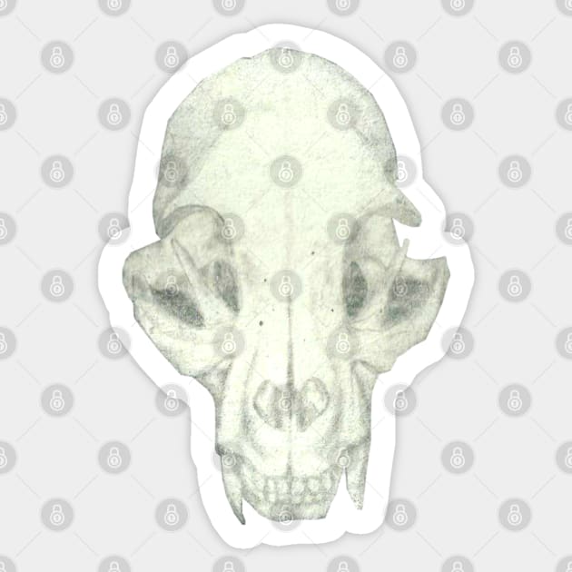 Kitten Skull Sticker by Art of V. Cook